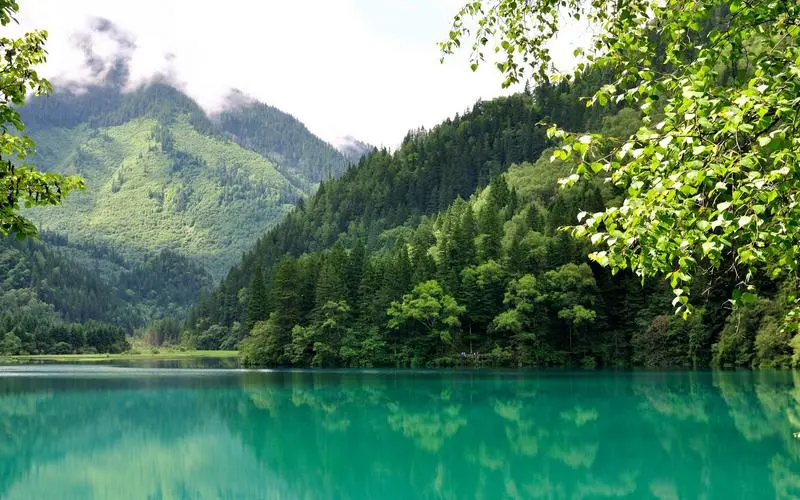 智能化高端